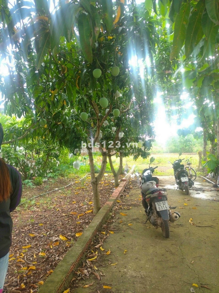 Bán đất Vườn Vĩnh Tân Vĩnh Cửu 1200m2 giá 1tỷ, sổ hồng riêng