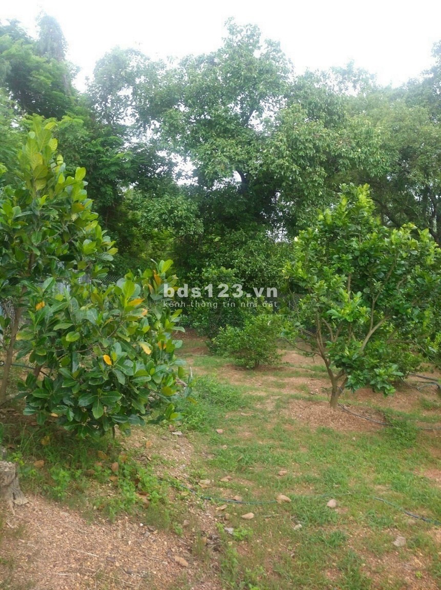 Bán đất Vườn Vĩnh Tân Vĩnh Cửu 1200m2 giá 1tỷ, sổ hồng riêng