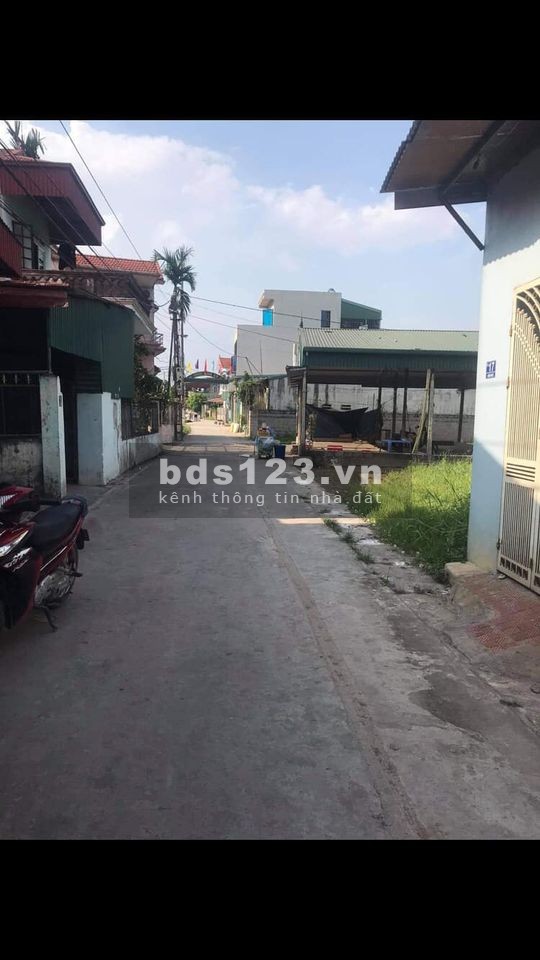 Cần bán gấp mảnh đất xã Đại Thắng, Phú Xuyên - Hà Nội, diện tích 135m2