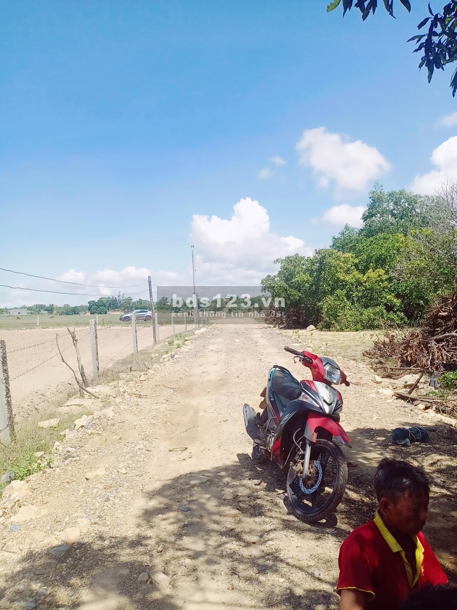 Đất Bình Thuận diện tích 2500m2, ngay mặt tiền đường Bàu Tráng, cách biển 1km