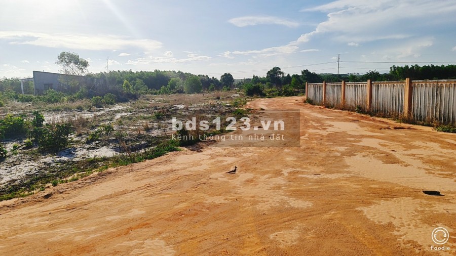 Đất mặt tiền đường sát Quốc Lộ 55, cạnh trường học, ubnd Thắng hải
