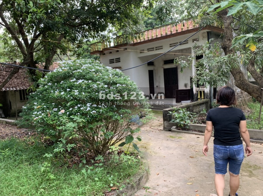 Bán nhanh 456m tại cư Yên Lương Sơn, Lương Sơn Hòa Bình giá cực rẻ