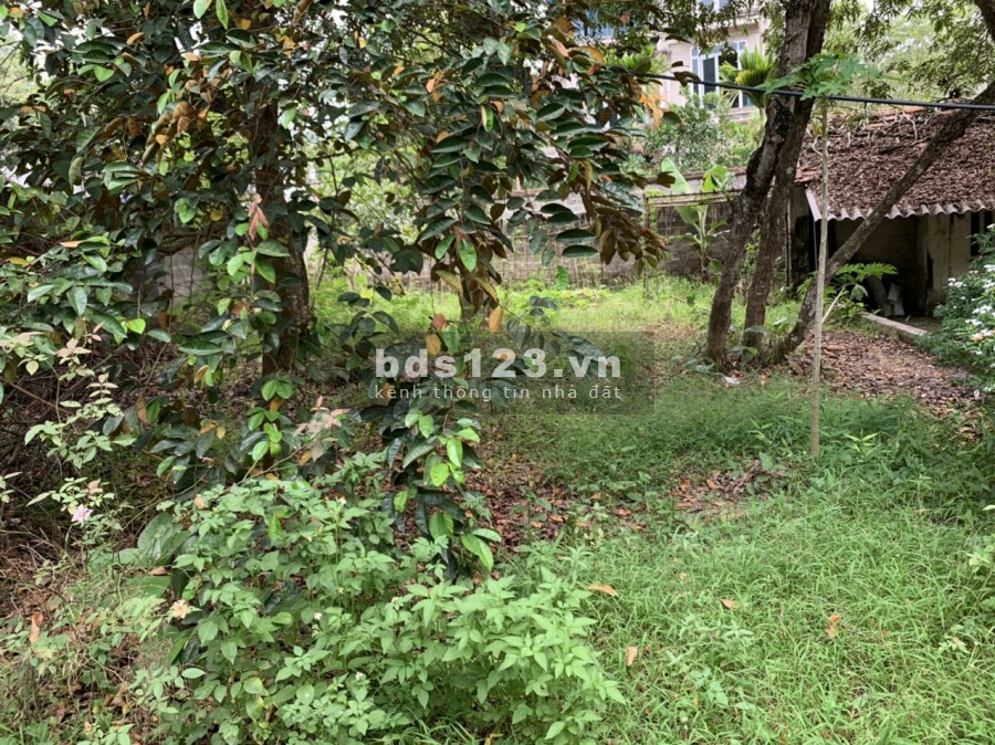 Bán nhanh 456m tại cư Yên Lương Sơn, Lương Sơn Hòa Bình giá cực rẻ