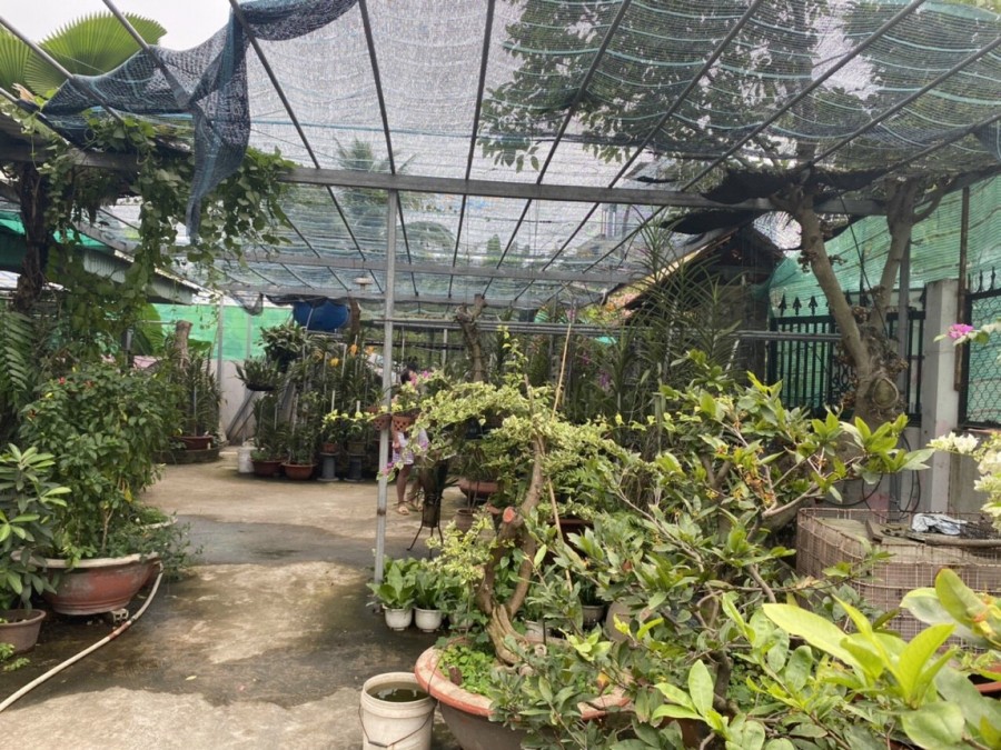 Bán nhà vườn Bưng Ông Thoàn phường Phú Hữu, Quận 9, giá bán 39 triệu/m2