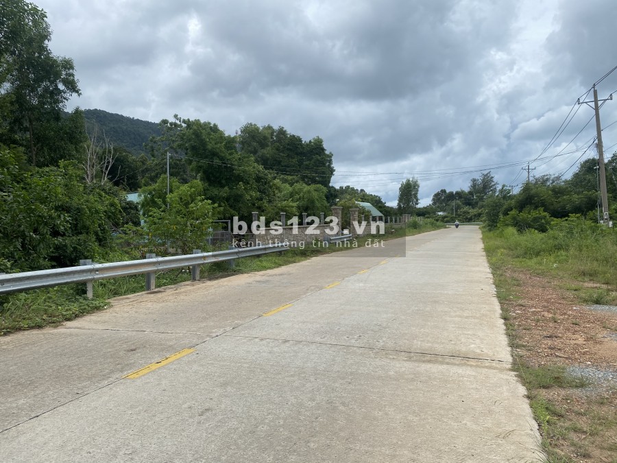 Bán Nhanh 2000m2 Đất Mặt Biển Cây Sao - Phú Quốc Thích Hợp Xây Resort