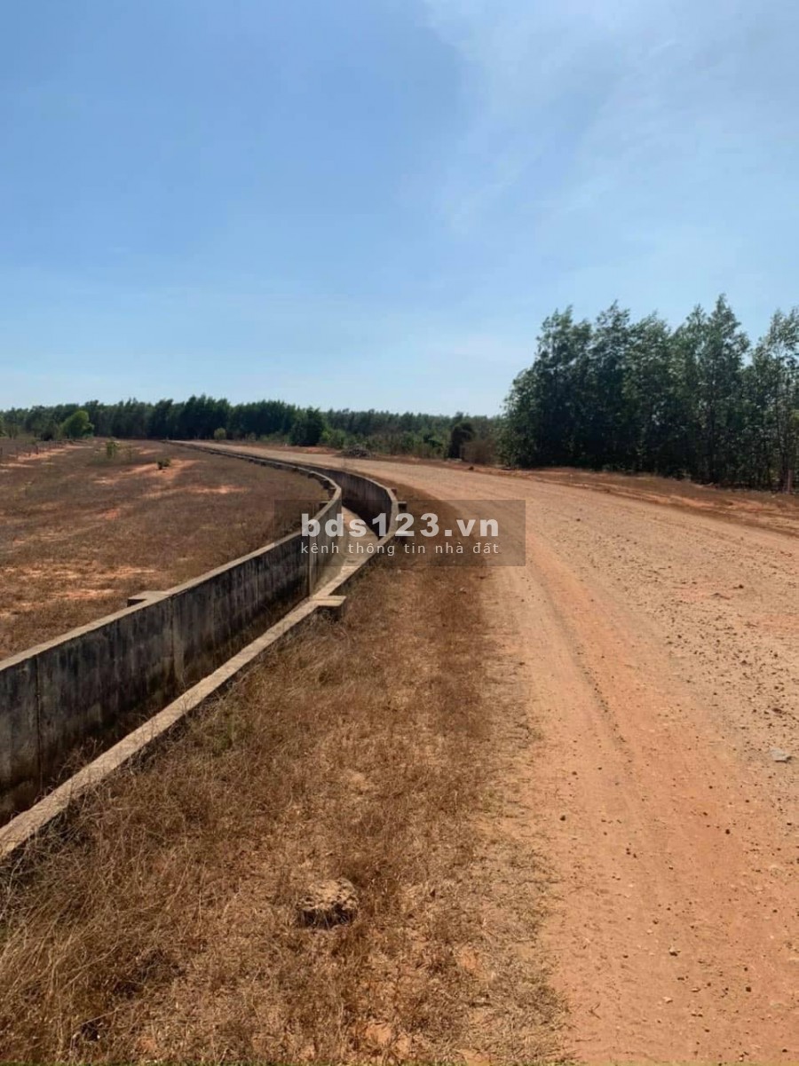 Thanh lý gấp lô 2 ha, giá 120 nghìn/m2, khu nông trại công nghệ cao,mt đường đất lớn, lh 0933.151.296