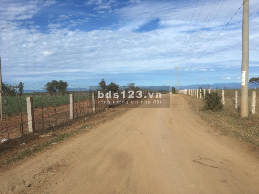 Thanh lý gấp lô 2 ha, giá 120 nghìn/m2, khu nông trại công nghệ cao,mt đường đất lớn, lh 0933.151.296
