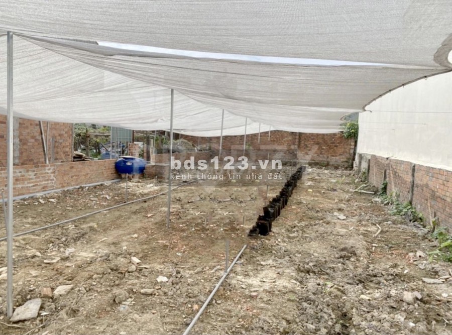Chính chủ bán gấp lô đất đẹp mặt tiền đường 40 P Bình Trưng Đông Q2