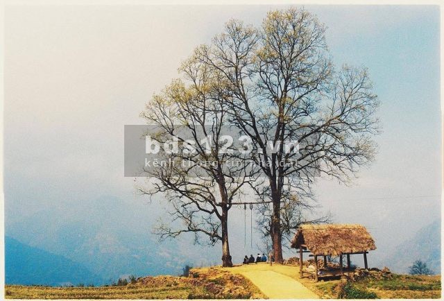 Cchỉ còn 1 lô! Bán đất 589m2 ở Sín Chải được quy hoạch làm đất ở