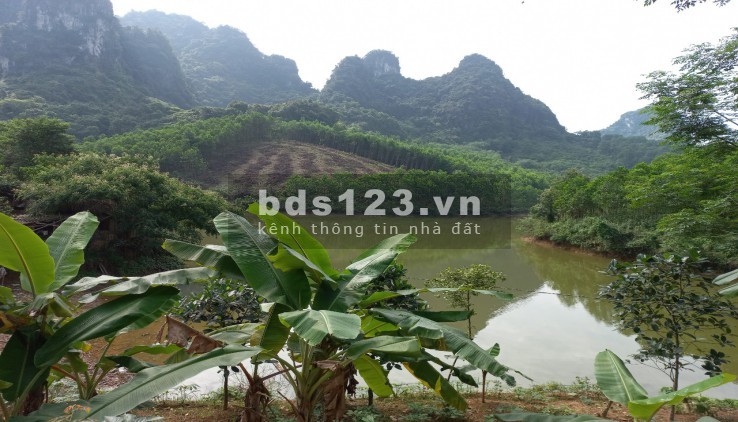 Bán gấp hàng hiếm 5.5 ha, RSH hồ trong đất, mặt view hồ, lưng tựa núi, chỉ 4.5 tỷ, Kim Bôi, Hoà Bình