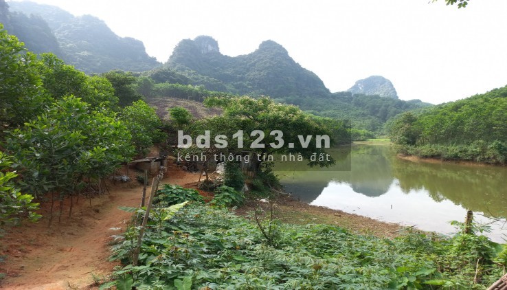 Bán gấp hàng hiếm 5.5 ha, RSH hồ trong đất, mặt view hồ, lưng tựa núi, chỉ 4.5 tỷ, Kim Bôi, Hoà Bình
