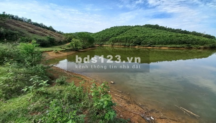 Bán gấp hàng hiếm 5.5 ha, RSH hồ trong đất, mặt view hồ, lưng tựa núi, chỉ 4.5 tỷ, Kim Bôi, Hoà Bình