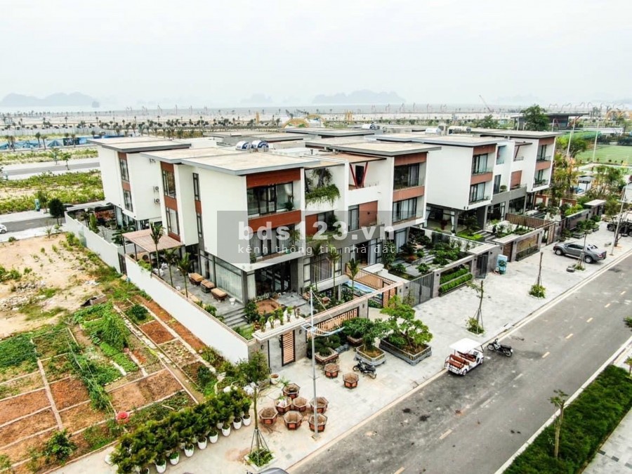 Tôi cần bán lô góc biệt thự nghỉ dưỡng Phương Đông Vân Đồn gần trục Shophouse kinh tế đêm thuận tiện kinh doanh