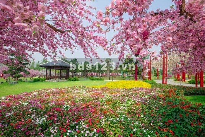 Bán căn hộ hiếm, giá 1,16 tỷ căn hộ studio độc Nhất dự án Vinhomes Smart City