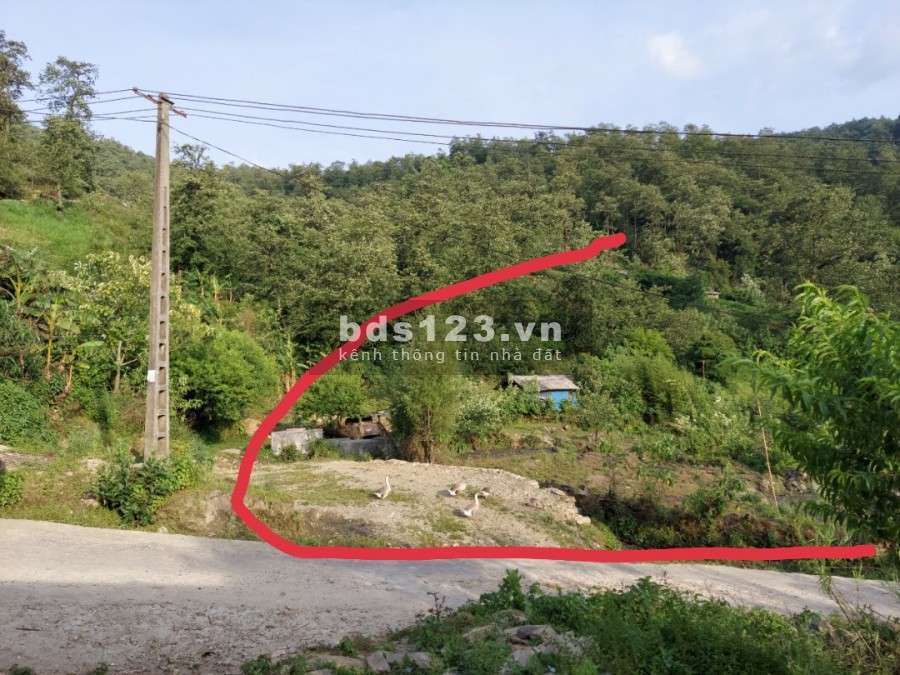 Lô 1900m2 Phan Cán Sử Y Tý(SaPa 2) đất đã có sổ đỏ, có thổ cư và có nhà