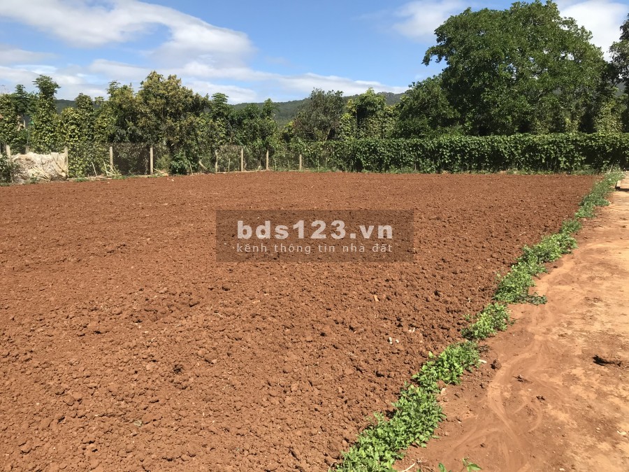 Bán đất nền đầu tư giá rẻ vùng ven Đà Lạt, diện tích 5mx23m
