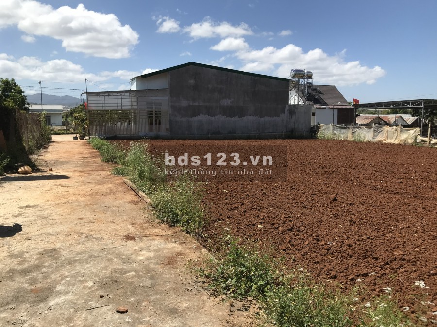 Bán đất nền đầu tư giá rẻ vùng ven Đà Lạt, diện tích 5mx23m