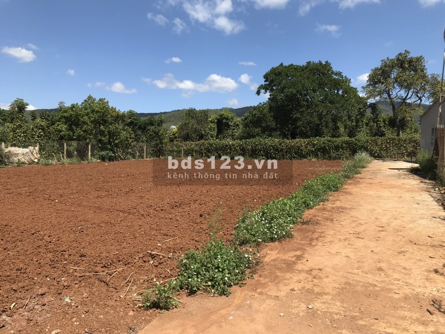 Bán đất nền đầu tư giá rẻ vùng ven Đà Lạt, diện tích 5mx23m