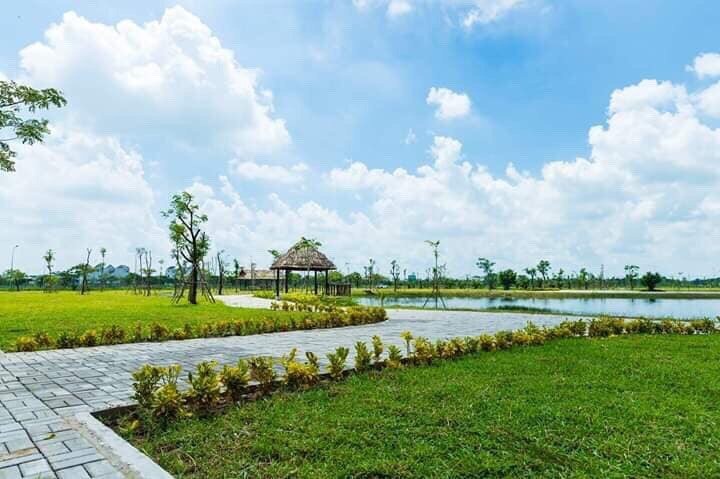 Bán gáp lô đất ngay VIngroup Đức Hòa, đường nhựa lớn xe đi thoải mái