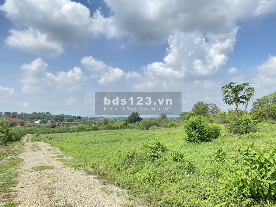 Bán đất mặt tiền rộng View Đồi, thích hợp xây biệt thự sân vườn cực đep
