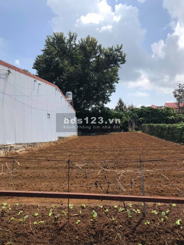 Đất mặt tiền đường quốc lộ 20 diện tích 130m2 giá 825tr full thổ cư.