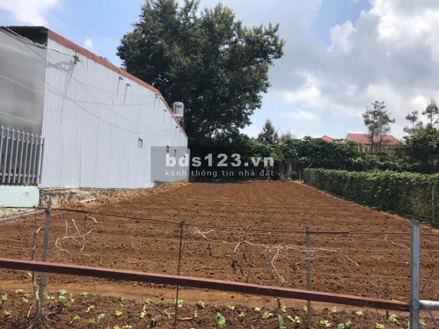 Đất mặt tiền đường quốc lộ 20 diện tích 130m2 giá 825tr full thổ cư.