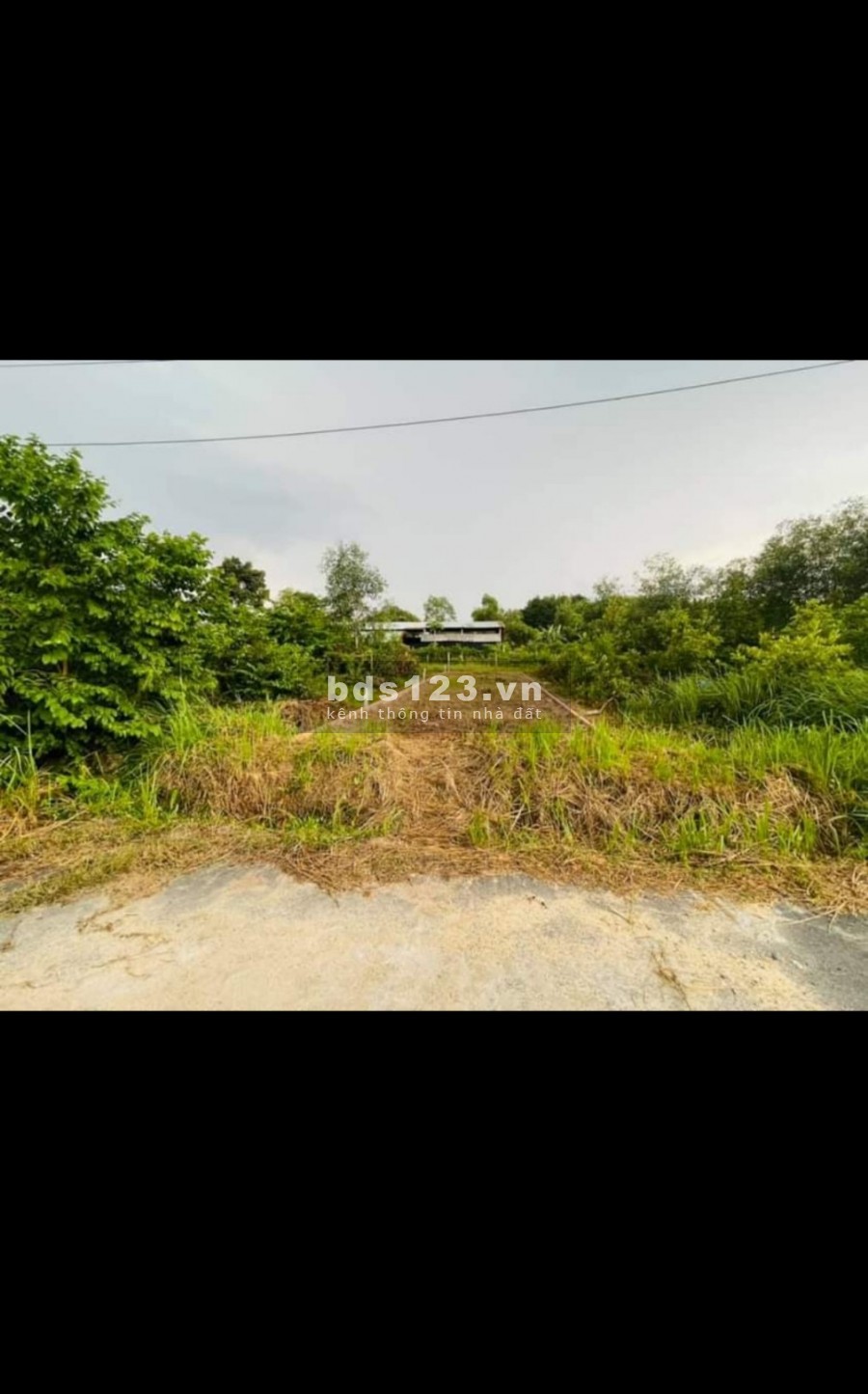 Do kinh doanh thua lổ nên cần bán gấp đất 174m2 củ chi giá 1 tỷ 2