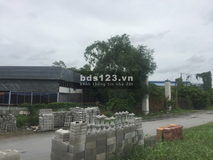 Bán 5322m2 mặt tiền đường Song hành Quốc lộ 1A, Phường Thường Thạnh, Quận Cái Răng, TP Cần Thơ.