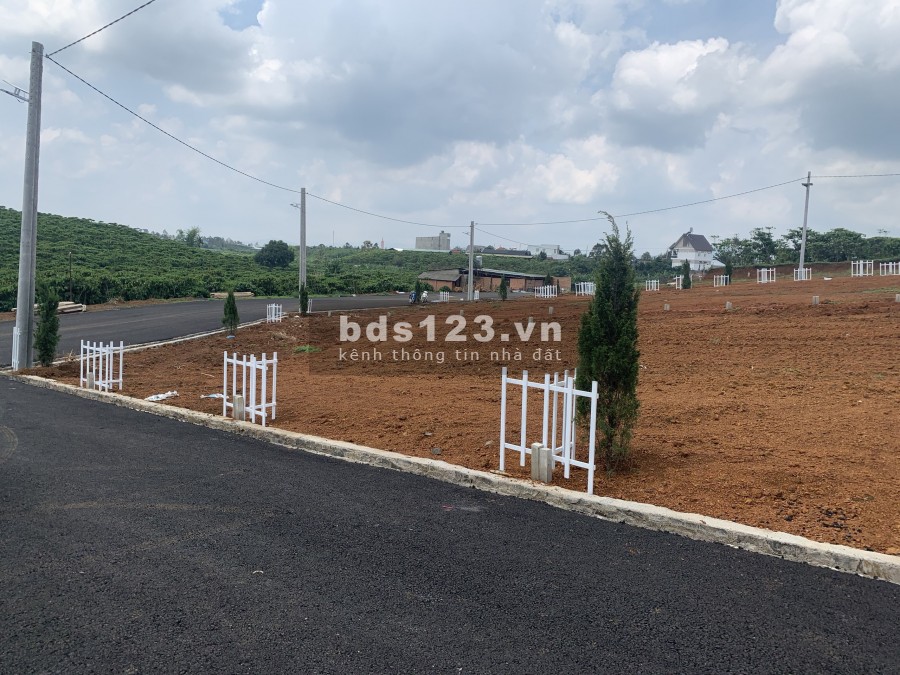 Diện tích: 5x21m 4 lô liền kề chung sổ diện tích 500m thổ cư sổ hồng riêng 100%.