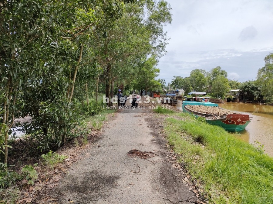 Đất 2 mặt tiền (lộ nhựa 6 m và 3 m), nằm trên tuyến đường U Minh Thới Bình, cách lộ xe buýt U Minh Cà Mau