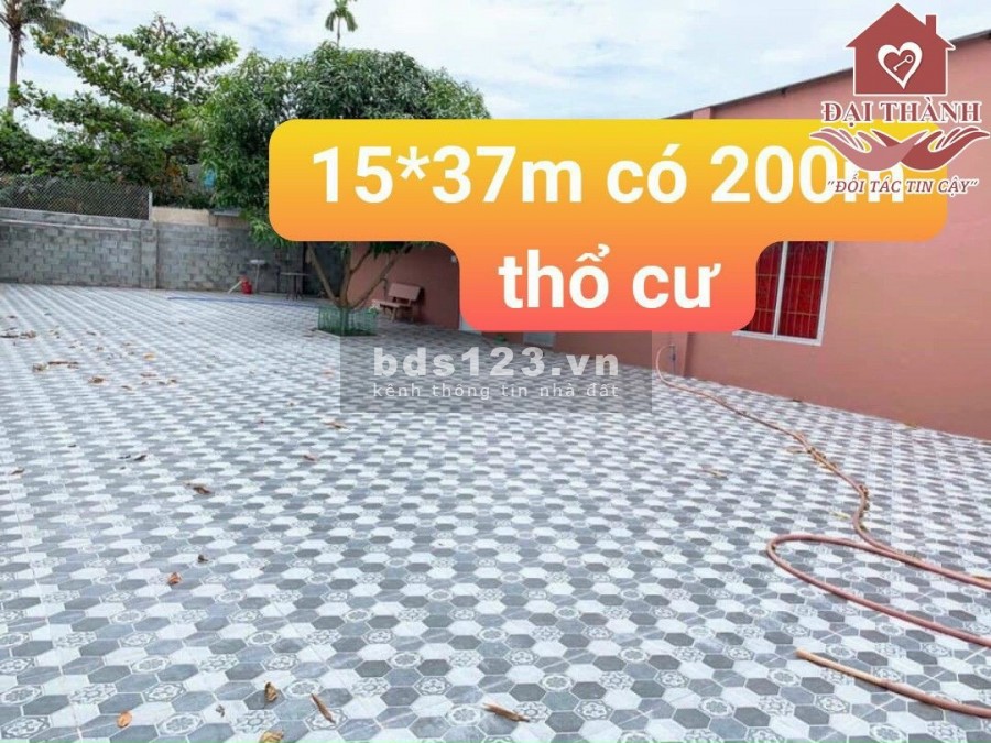 Bán đất biệt thự tặng nhà 15x37m sổ riêng thổ cư Thống Nhất Biên Hoà Đồng Nai