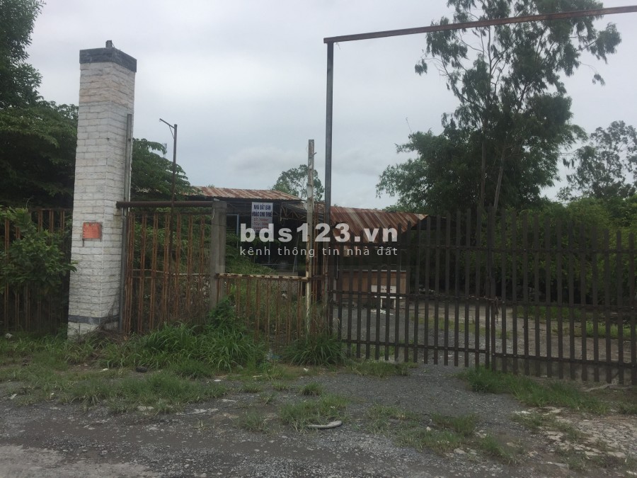 Bán 5322m2 mặt tiền đường Song hành Quốc lộ 1A, Phường Thường Thạnh, Quận Cái Răng, TP Cần Thơ.