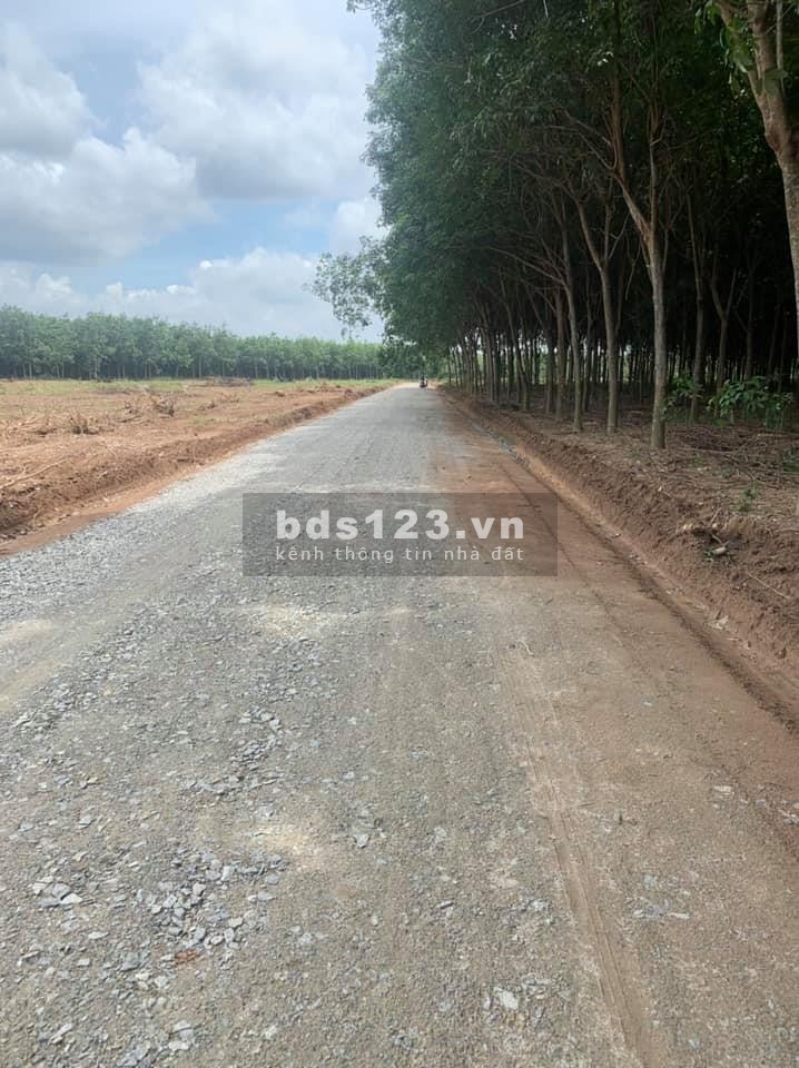Cần tiền bán gấp lô đất 400m2, sổ riêng ngay thị xã Bến Cát, giá 825 triệu