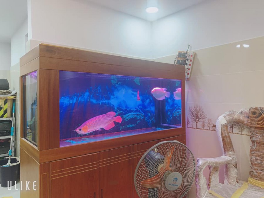 Bán Gấp nhà Hoàng Hoa Thám, Toàn nhà cao tầng đẹp, 5 tầng, 4.38 tỷ