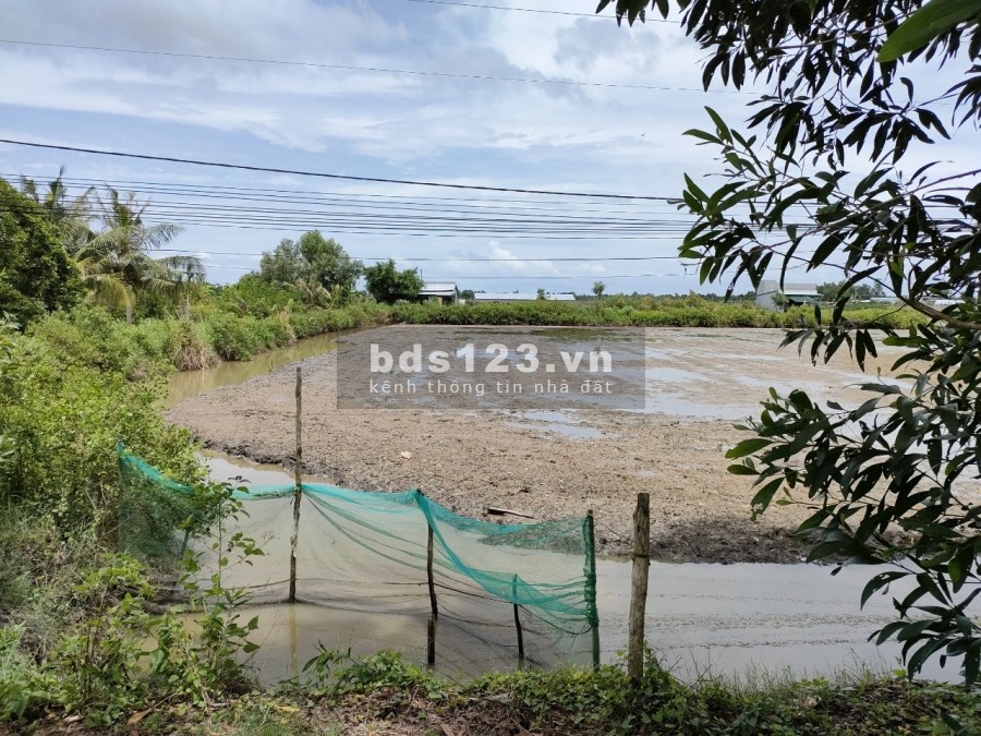 Đất 2 mặt tiền (lộ nhựa 6 m và 3 m), nằm trên tuyến đường U Minh Thới Bình, cách lộ xe buýt U Minh Cà Mau