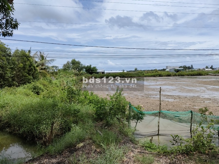 Đất 2 mặt tiền (lộ nhựa 6 m và 3 m), nằm trên tuyến đường U Minh Thới Bình, cách lộ xe buýt U Minh Cà Mau