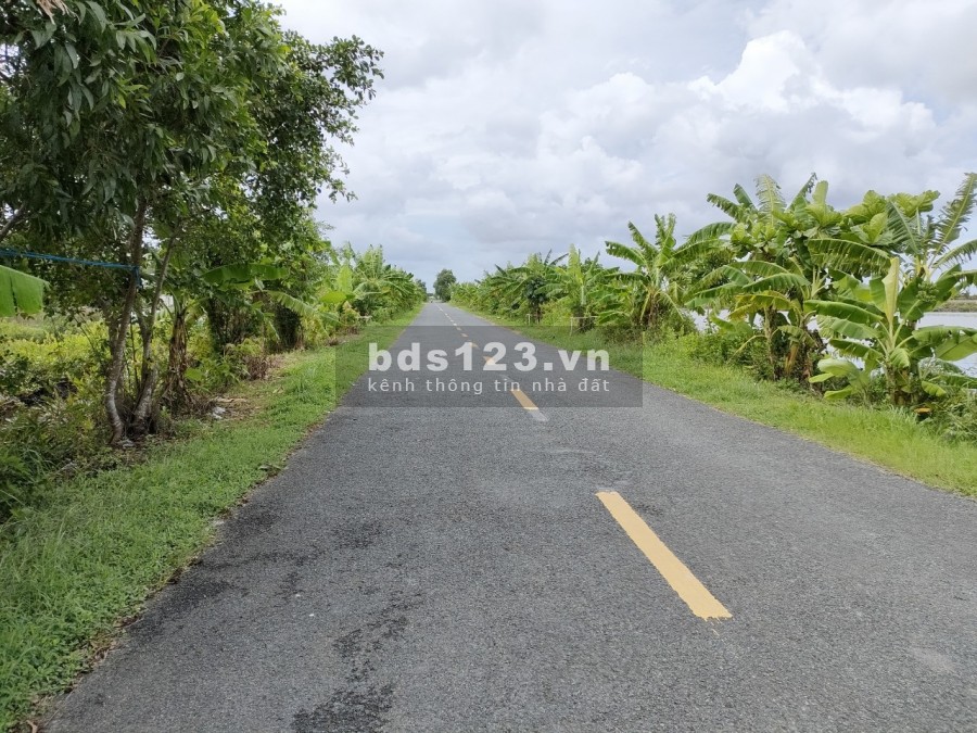 Đất 2 mặt tiền (lộ nhựa 6 m và 3 m), nằm trên tuyến đường U Minh Thới Bình, cách lộ xe buýt U Minh Cà Mau