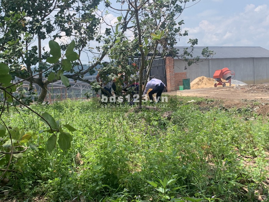 Bán Gấp Đất Vườn 1000m2 Huyện Chơn Thành , Tỉnh Bình Phước