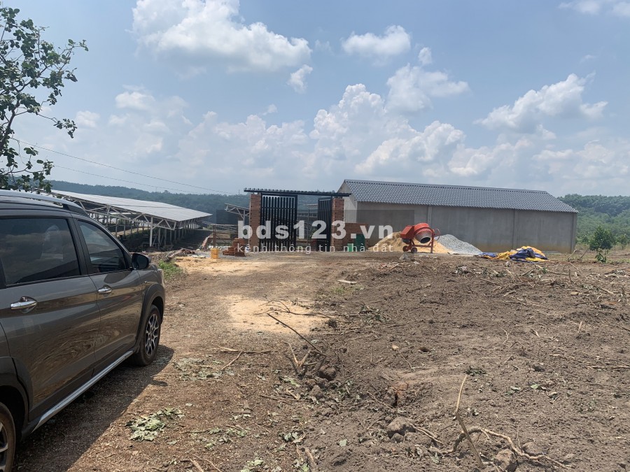 Bán Gấp Đất Vườn 1000m2 Huyện Chơn Thành , Tỉnh Bình Phước