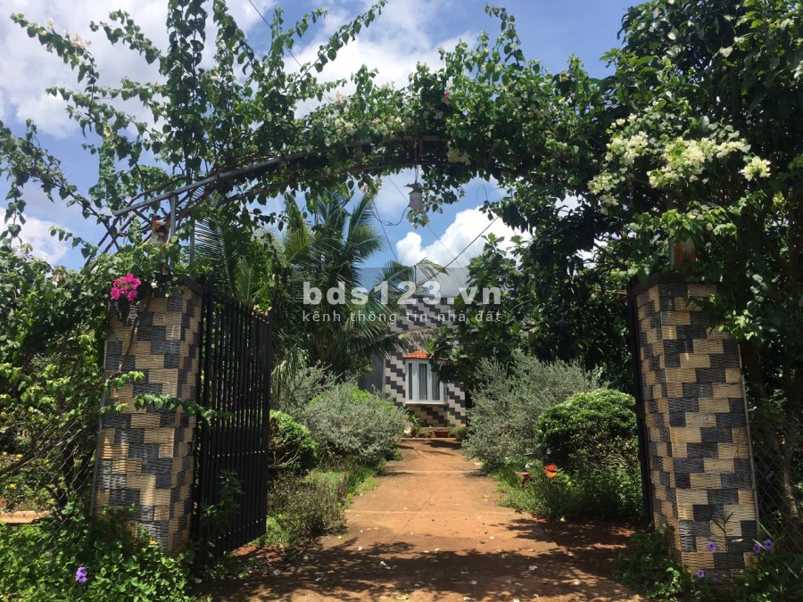 Bán gấp lô đất vườn giá rẻ dt 1000m2 ( quy hoạch full 100% thổ cư ) ở Đồng Nai. LH 0932056011