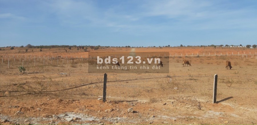 3 ha mặt tiền kênh tưới Lê Hồng Phong, đối diện dự án điện gió giá 120 nghìn/m2, lh 0933.151.296