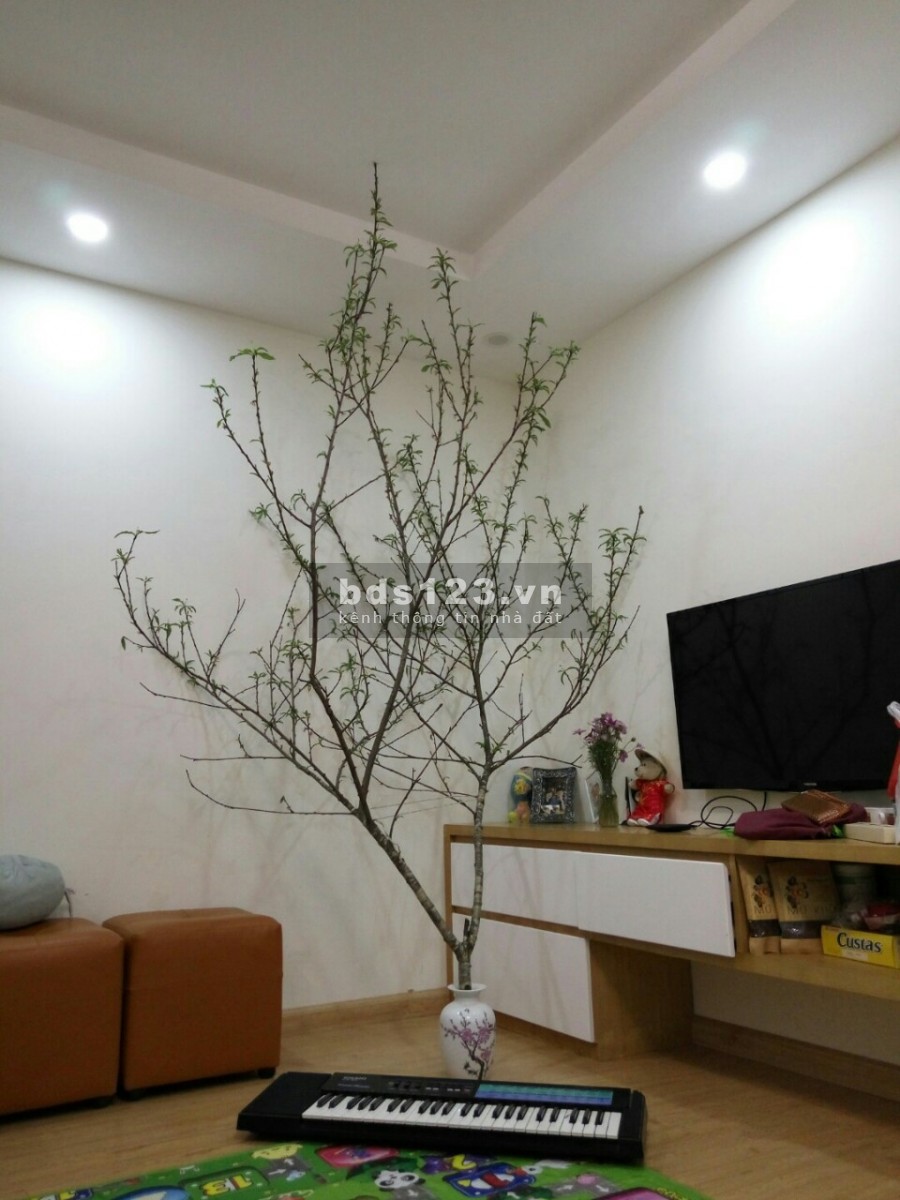 Cho thuê căn hộ CC PVV 60B Nguyễn Huy Tưởng 70m2 2Pn FULL nội thất. Giá 11 Tr/Tháng