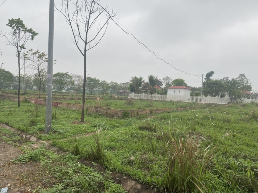 Cần bán lô biệt thự 300m2 khu đô thị Cienco 5, Mê Linh Hà Nội, giá 24 triệu/m2