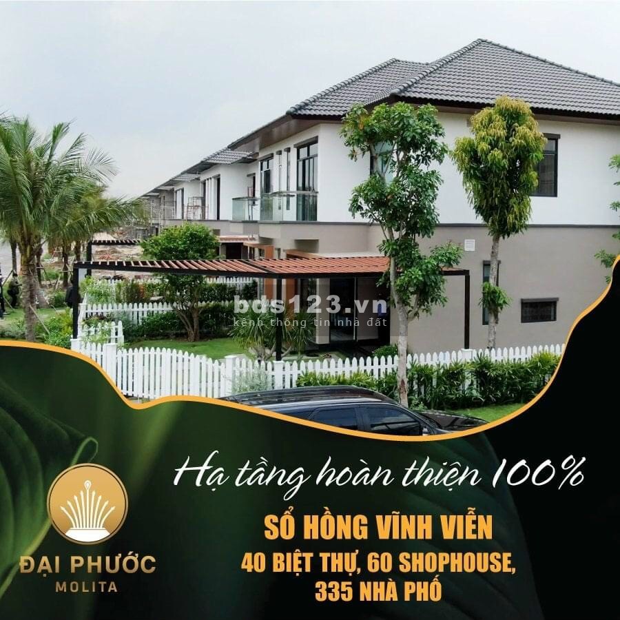 Đại Phước Molita 6 quyền năng tạo nên bất động sản xứng tầm