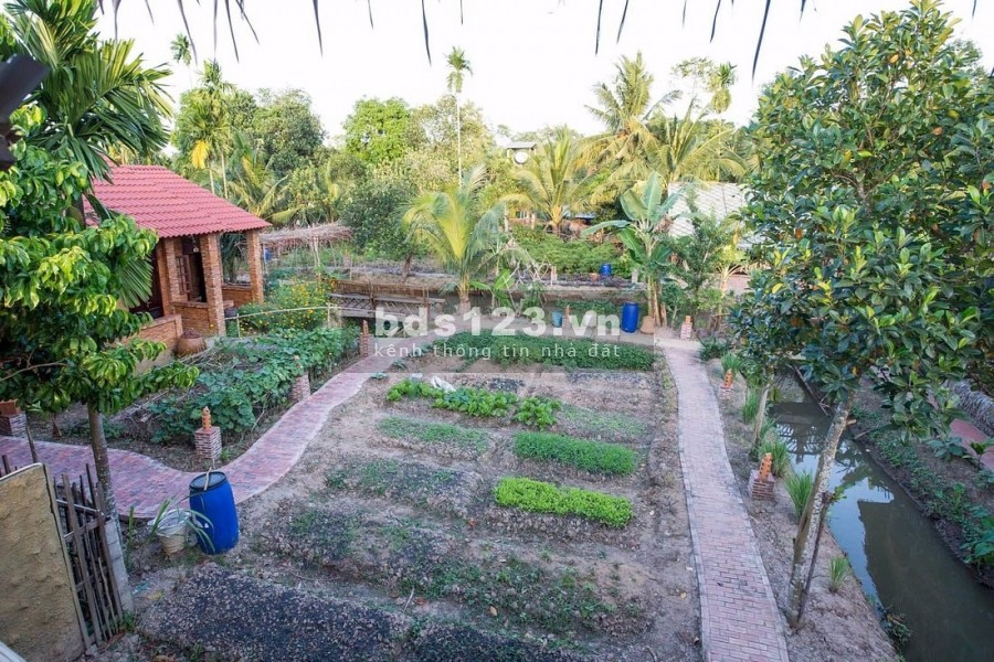 Đất nền Biệt thự khu nghĩ dưỡng Quới Sơn Bến Tre giá cực tốt