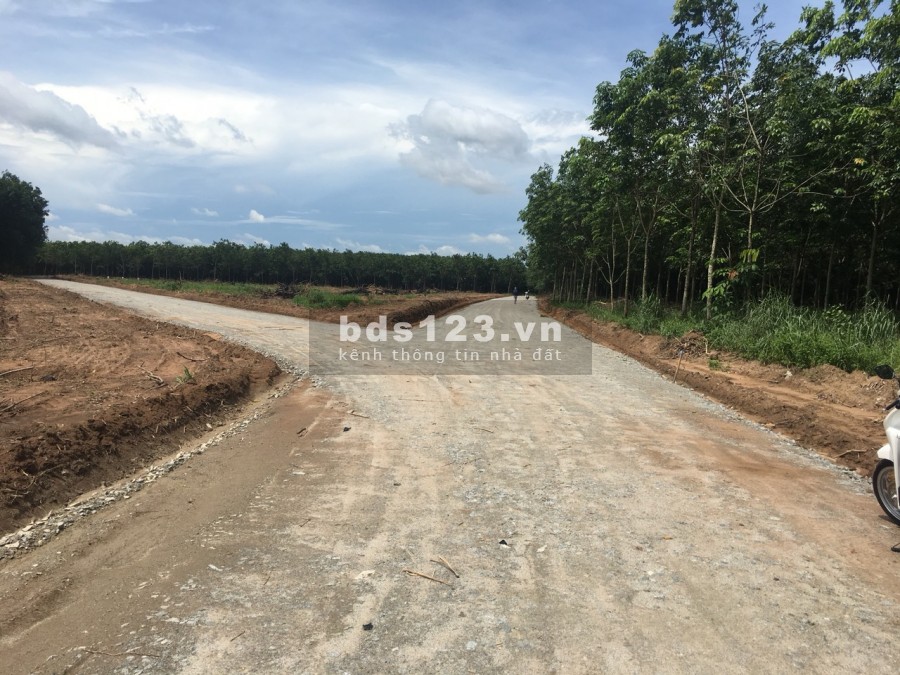 Bán Đất thị xã Bến Cát Bình Dương liền kề 3 KCN giá rẻ, sổ sẵn