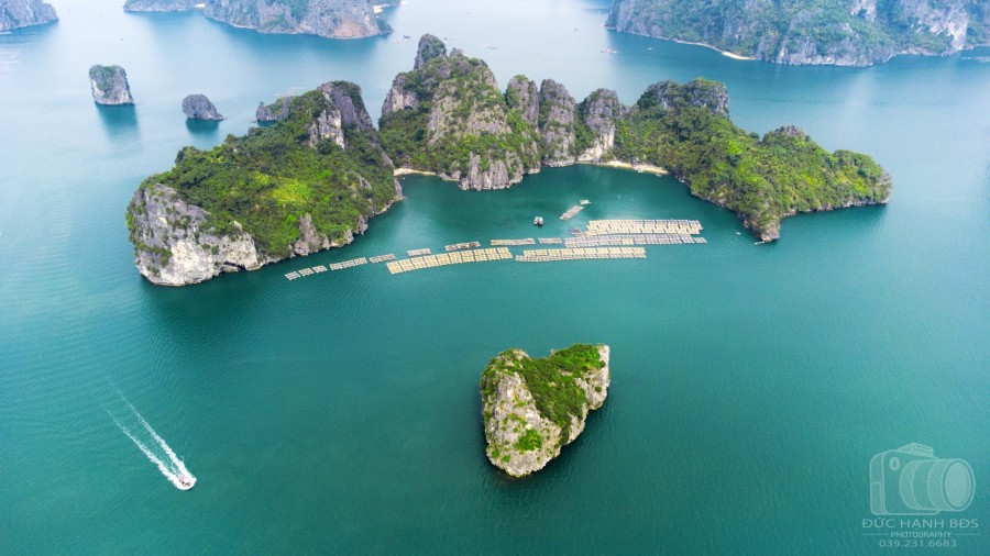 Cần bán lô đất nền ven biển dự án Green Dragon City ngoại giao, giá tốt nhất thị trường