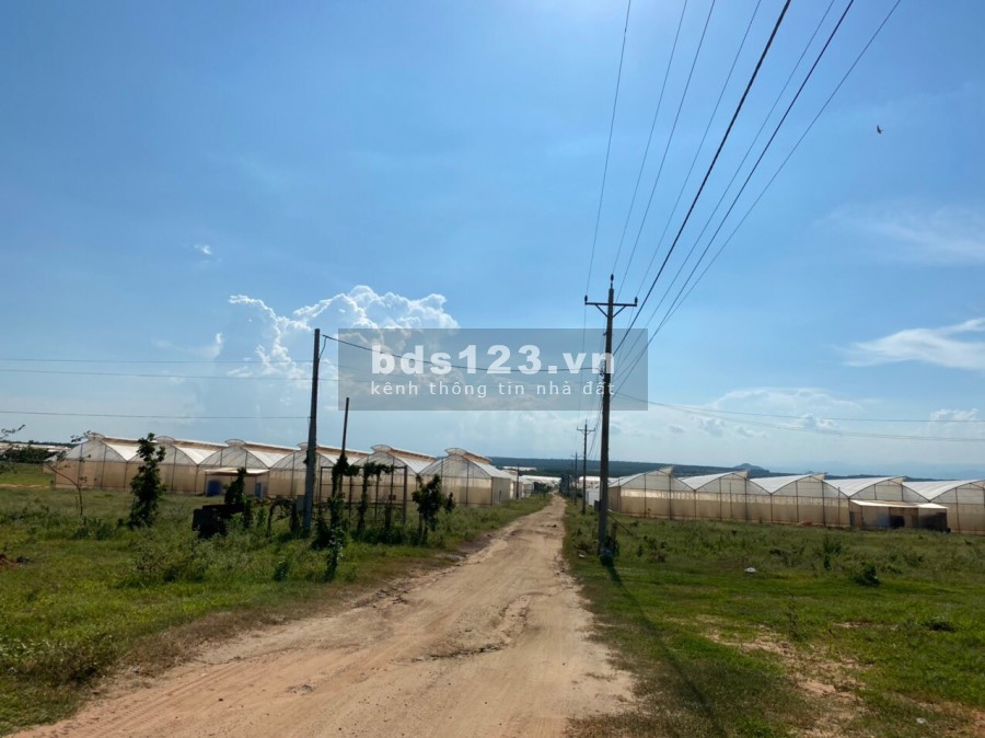 Cần bán 4144m2 xã Bình Tân, Bình Thuận cạnh bên Safari, đi DT716 vào thẳng đất, sổ đỏ riêng