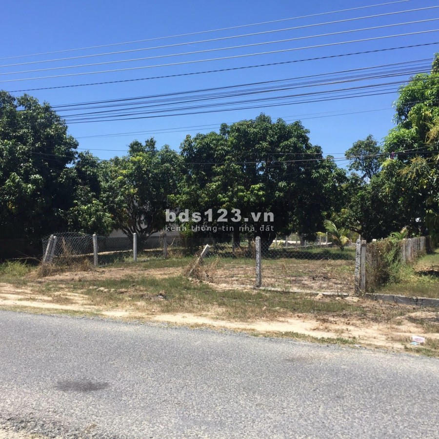 Bán lô đất đẹp Cam Hải Tây, Cam Lâm, giá bán nhanh 3 tỷ, lh 0706151442