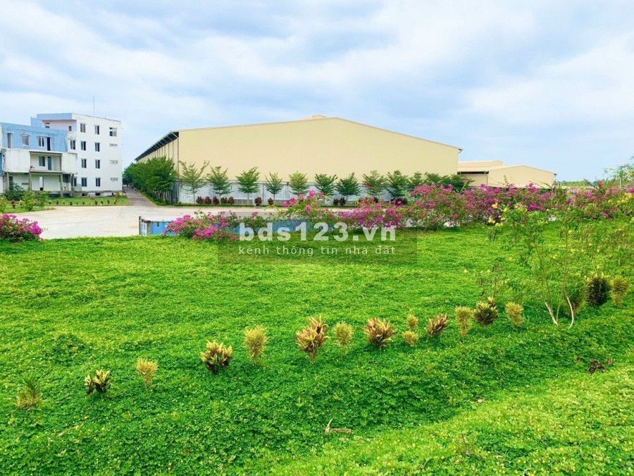 Mùa Covid nên đầu tư vào đâu cho an toàn, sinh lời tốt, pháp lý rõ ràng